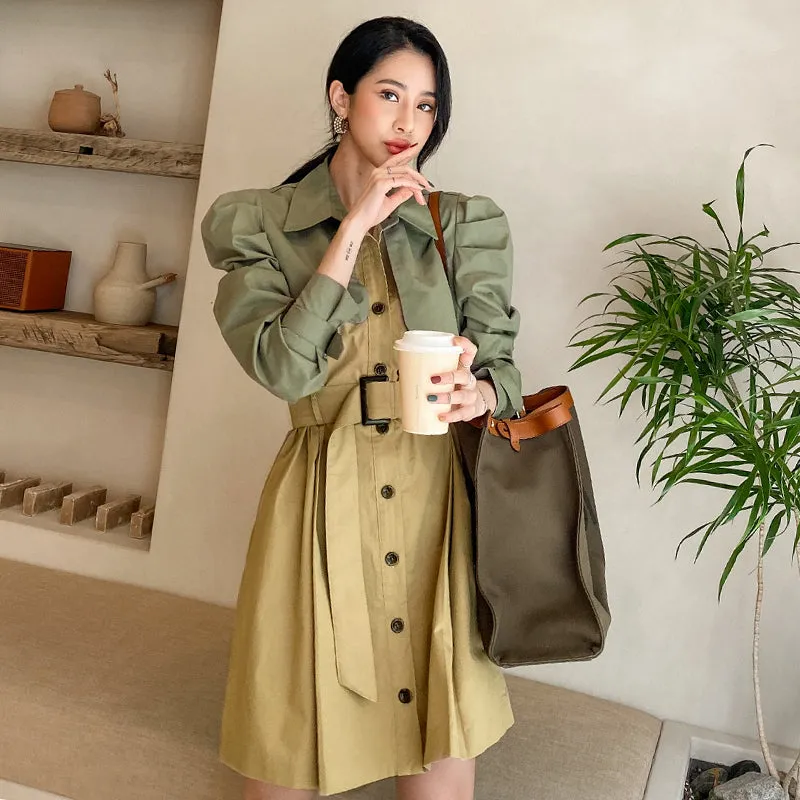 CM-DY026187 Women Casual Seoul Style Single Breasted Long Sleeve Pinched Waist Slim Dress