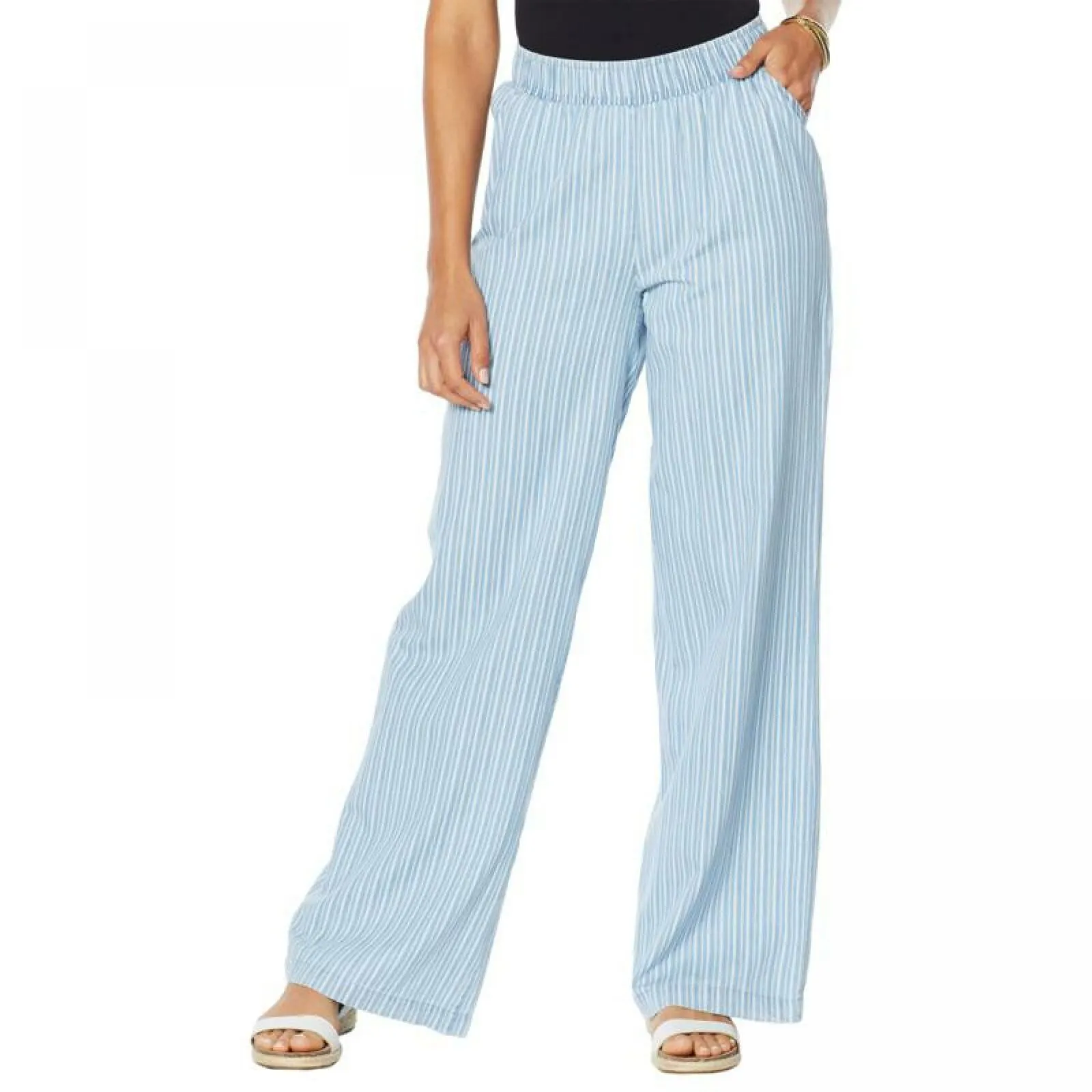 DG2 by Diane Gilman SoftCell Wide Leg Pants Chambray Stripe Large