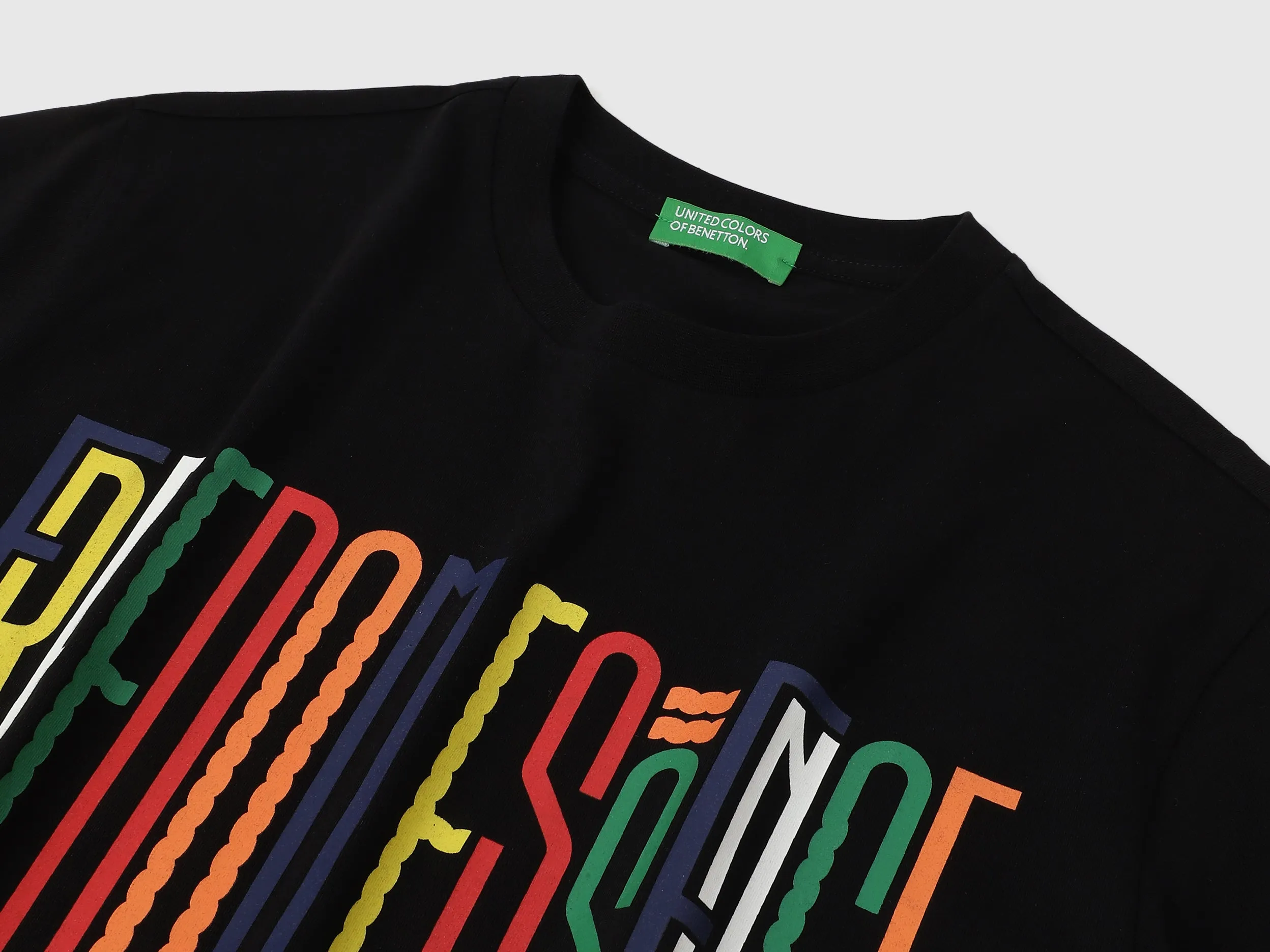 Regular Fit Crew Neck Printed T Shirt