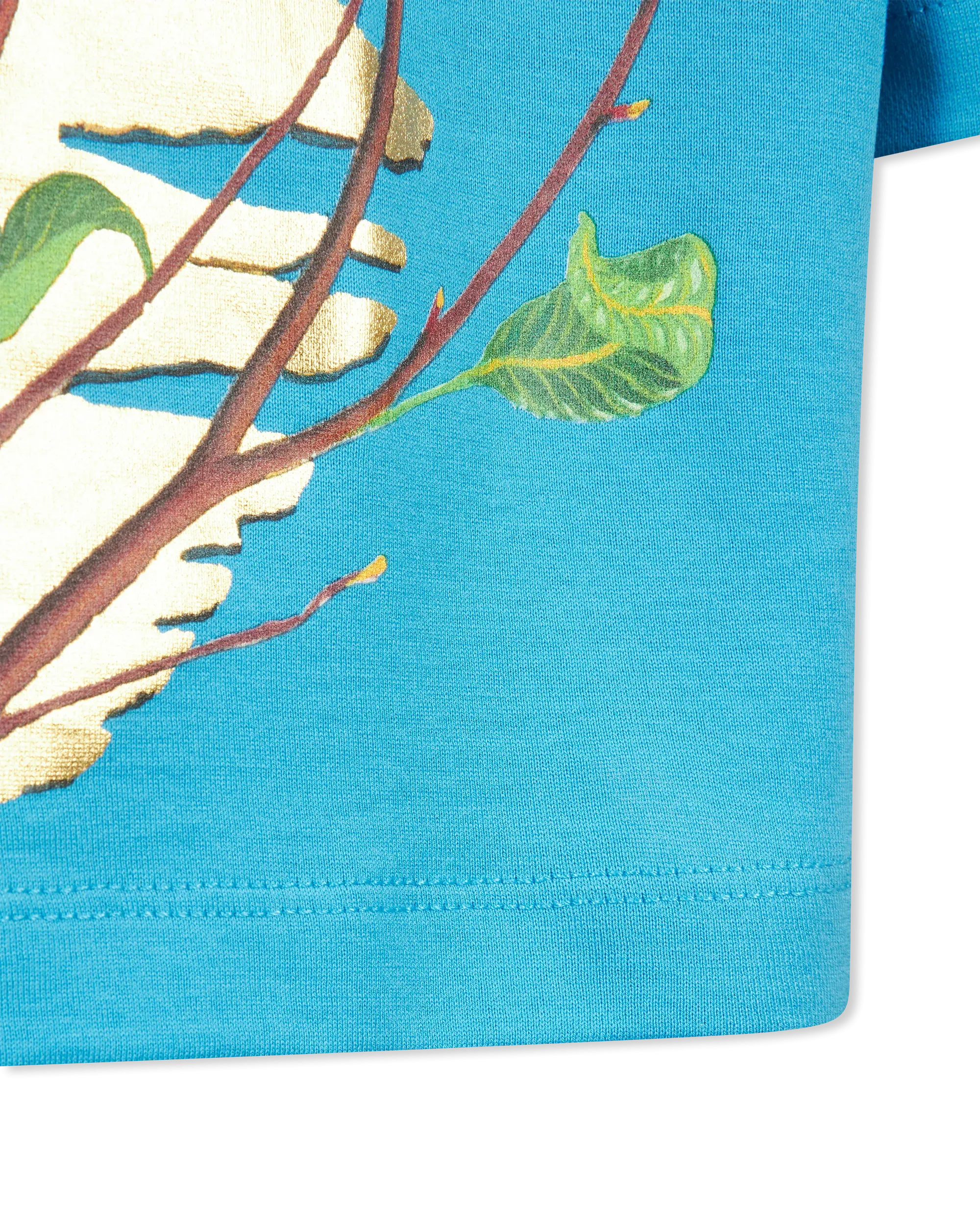 The Lion King Cassius Khumalo Printed Cropped T-Shirt