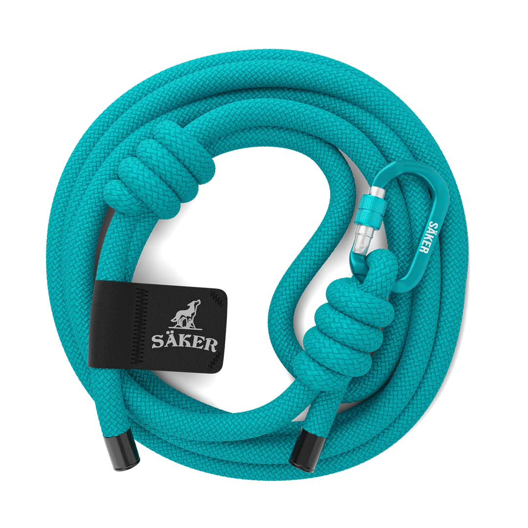 Trust™ Leash - Skeena Teal